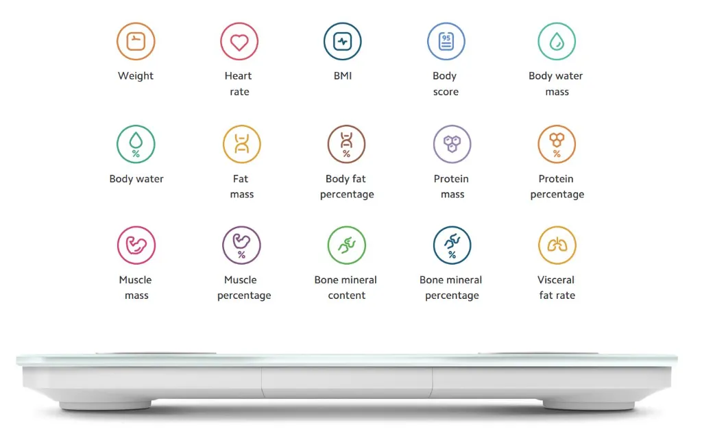 Xiaomi-Body-Composition-Scale-S400-Messwerte-2301330949.webp